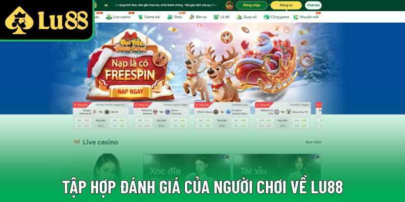 Bật mí các đánh giá liên quan đến sân chơi